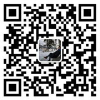 半岛网页版